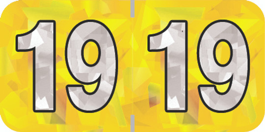Holographic Yearband Label (Rolls) 500 - 2019 - Yellow - HYYM Series - Polylaminated - 3/4" H x 1-1/2" W