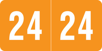 Smead 2024 Year Label - SMYM Series -  ORANGE - 1/2" H x 1" W -  500/Roll