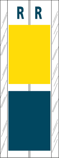 Tabbies 12719 - Acme Visible Compatible Alpha 12700 Label Series, 4" 2-COLOR ALPHA TABS 'R', YELLOW/BLUE, 4"H X 1-1/2"W, 102/PACK