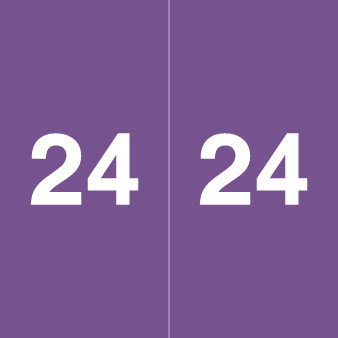 Ames Colorfile 2024 Yearband Label - Purple - Laminated - 1-7/8" H x 1-7/8" W - 500/Roll