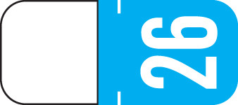 TAB 2026 LT BLUE Year Label 1-1/8"H X 1/2"W TOP TAB 500/RL