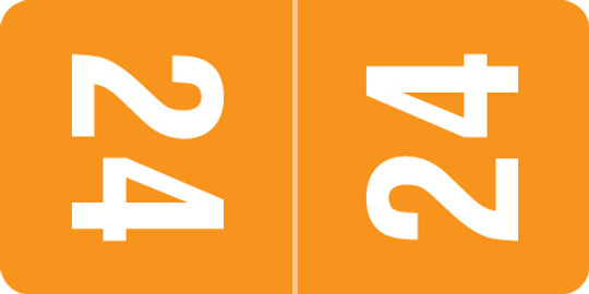 2024 Smead Yearband Label For Top Tab Folder Applications - 2024 - Orange - 1" H X 1/2" W - 250/PK