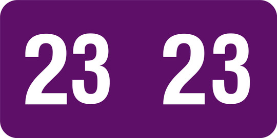 Tabbies 90823 - SMEAD MATCH, 2023 YEAR LABEL -  1/2" H X 1" W - PURPLE -  500/ROLL
