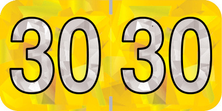 HOLOGRAPHIC 2030 YELLOW Year Label 3/4"H X 1-1/2"W END TAB 500/ROLL