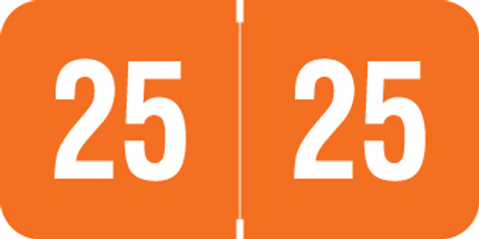 2025 Orange Year Labels - RINGBOOK Inch, Varied Labels