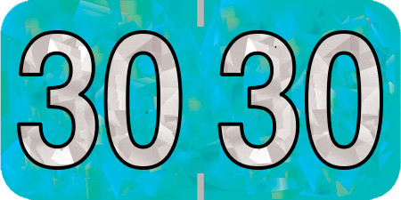HOLOGRAPHIC 2030 AQUA Year Label 3/4"H X 1-1/2"W END TAB 500/ROLL