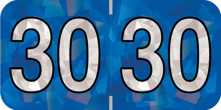 HOLOGRAPHIC 2030 BLUE Year Label 3/4"H X 1-1/2"W END TAB 500/ROLL