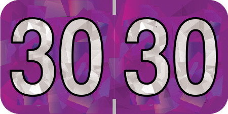 HOLOGRAPHIC 2030 PURPLE Year Label 3/4"H X 1-1/2"W END TAB 500/ROLL
