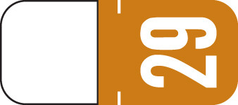 TAB 2029 BROWN Year Label 1-1/8"H X 1/2"W TOP TAB 500/RL