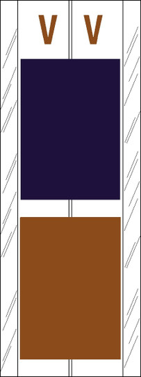 A-Z Labels Col'R'Tab 4" 'V' PURPLE/BROWN
(Acme Visible Compatible) - 100/Pkg