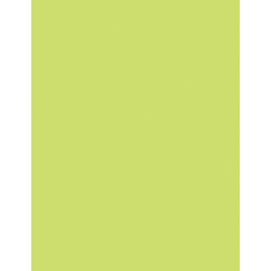 Multi-Purpose Paper, Lime, 8-1/2'' x 11'', 500 Sheets