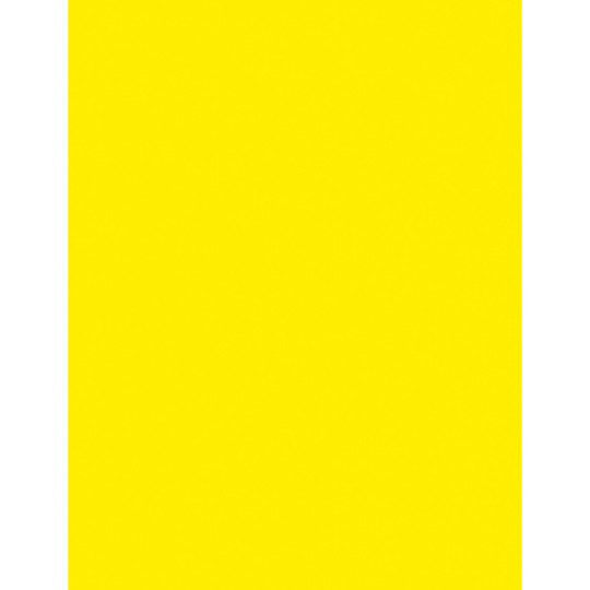 Multi-Purpose Paper, Lemon Yellow, 8-1/2'' x 11'', 500 Sheets