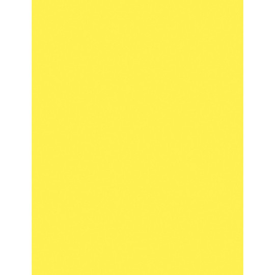 Multi-Purpose Paper, Hyper Yellow, 8-1/2'' x 11'', 500 Sheets