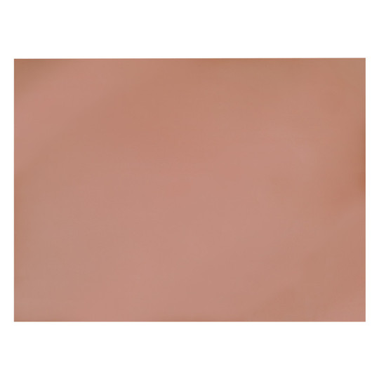 Metallic Poster Board, Rose Gold, 22'' x 28'', 25 Sheets