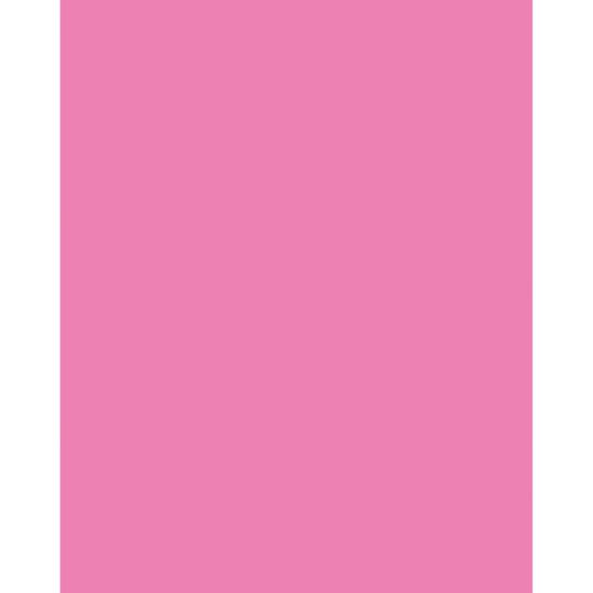 Neon Coated Poster Board, Neon Pink, 22'' x 28'', 25 Sheets