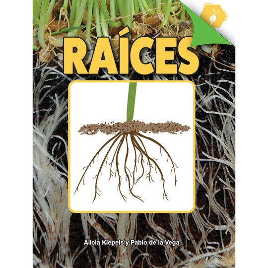 Raices Book, Hardcover