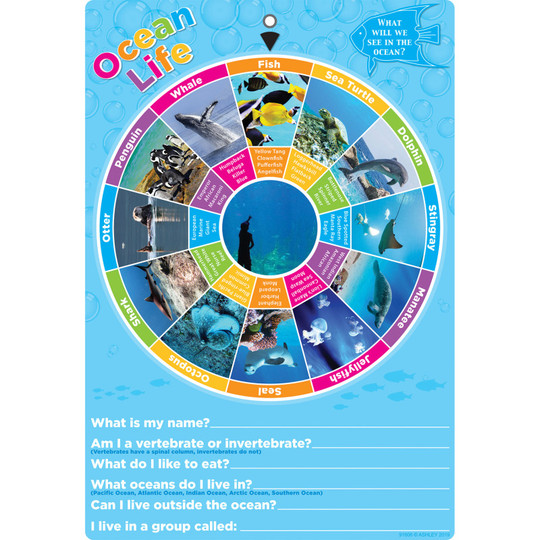 Smart Poly Smart Wheel, Ocean Animals