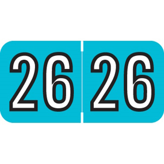 Amerifile 2026 Light Blue Year Labels - 3/4 x 1-1/2"  500/Labels