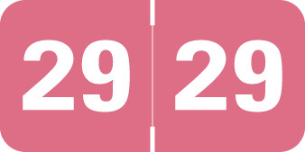 TABBIES 2029 PINK Year Label 3/4"H X 1-1/2"W END TAB 500/ROLL