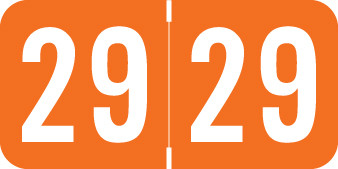 ACME/S&W 2029 ORANGE Year Label 3/4"H X 1-1/2"W END TAB 500/RL