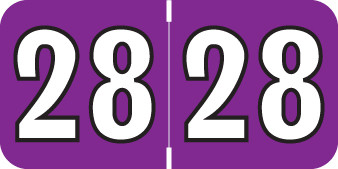 COLWELL 2028 PURPLE Year Label 3/4"H X 1-1/2"W END TAB 500/ROLL