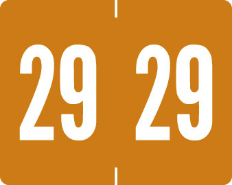 TAB 2029 BROWN Year Label 1"H X 1-1/4"W END TAB 500/RL