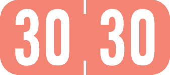 TAB 2030 PINK  Year Label 1/2"H X 1-1/8"W END TAB 500/RL