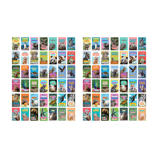 Go Wild Animals Encouragement Cards, 2-Pack