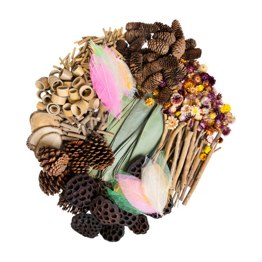 Woodland Natural Loose Parts Set