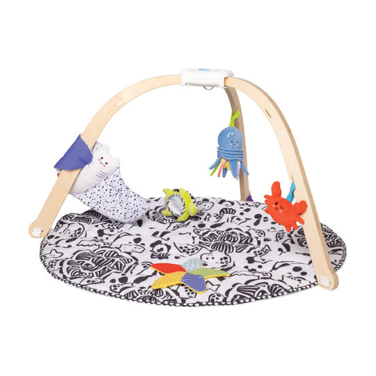 Ocean Easy-Fold Play Gym