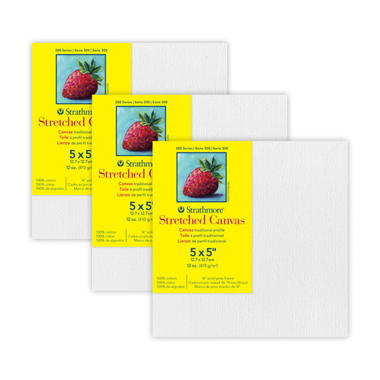 300 Series Traditional Stretched Canvas, 5 x 5 in., Pack of 3