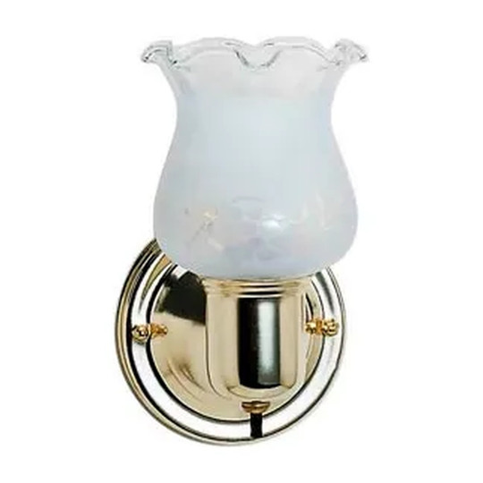 Single-light polished brass vanity fixture with frosted grape glass shade