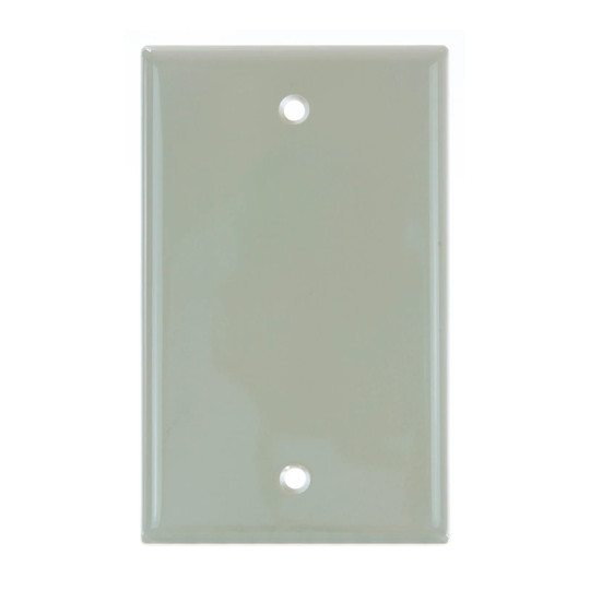 White 1-gang blank switch and receptacle wall plate