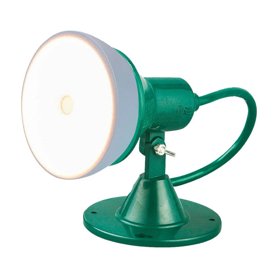 Green indoor/outdoor adjustable floodlight holder kit with closed lens housing