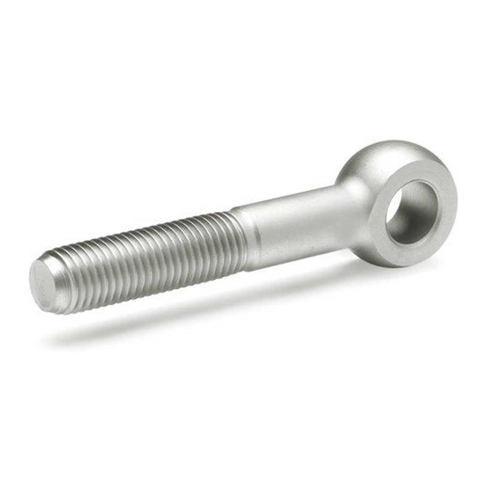 Stainless steel DIN 444 M10 swing bolt with 2 in. length