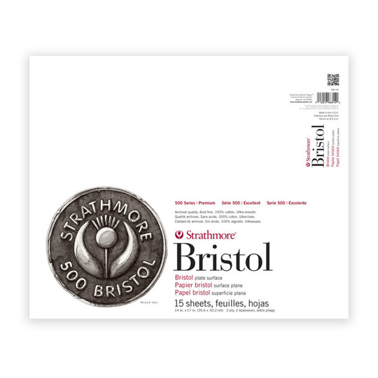 500 Series 2-Ply Plate Finish Bristol Paper Pad, 14 x 17 in., 15 Sheets