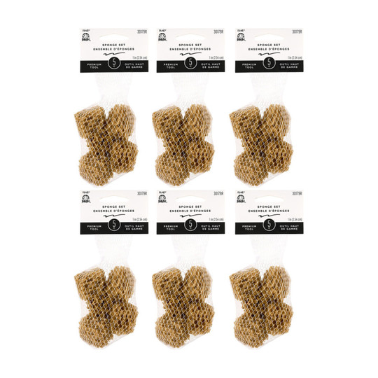Synthetic Texture Sponge Value Pack, 30 Count