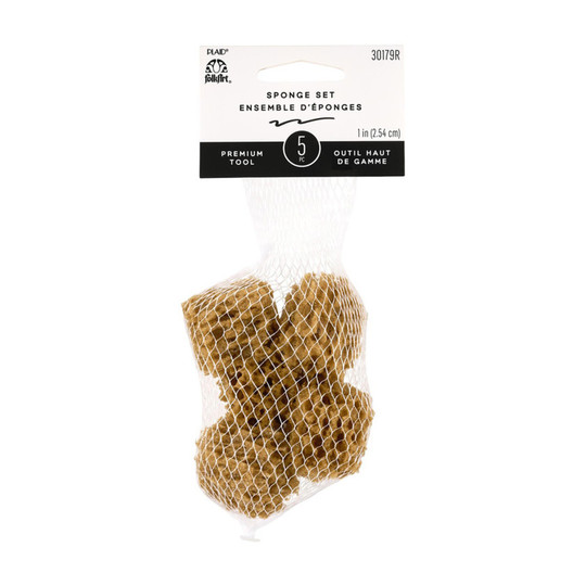 Synthetic Texture Sponges, Pack of 5