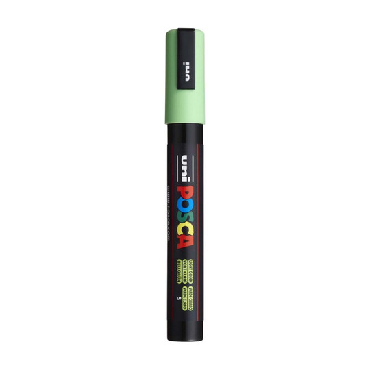 Water-Based Paint Marker, Reversible Medium Tip, Light Green