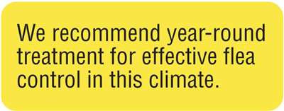 Recommend Flea Control 2-1/4"x7/8" FL-Yellow