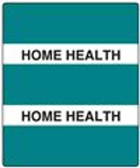 300 Series Create Your Own Patient Chart Divider Tab - "Health History" - Turquoise - 1-1/2'' x 1-1/2'' - 102/Pack