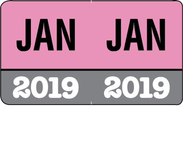 Month/Year Labels 2019 - Complete Set Jan-December Convenience Pack - 216 Labels Total (18 of each month) - 1-1/2" W x 1" H