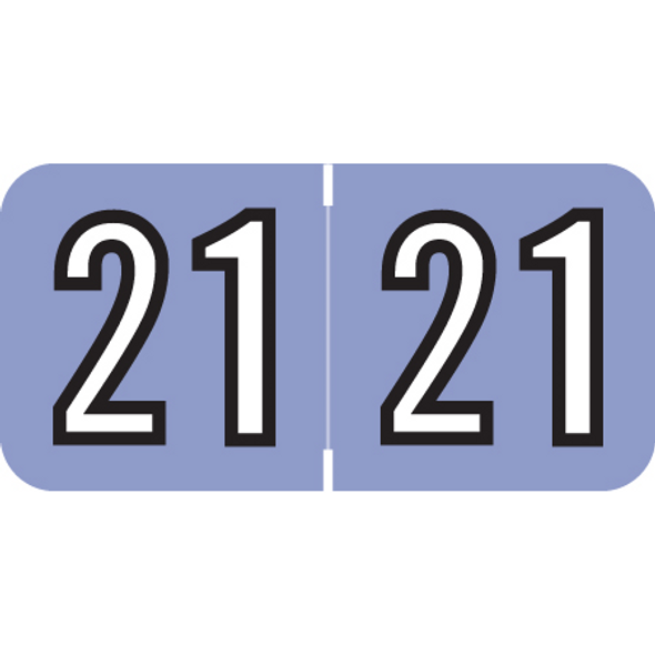 Amerifile Yearband Label (Rolls of 500) - 2021- Raspberry - ARYM Series - Laminated -3/4" H x 1-1/2" W