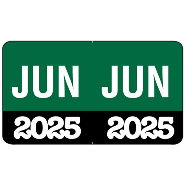 Month/Year Labels 2025 - June - 225 Labels Per Pack