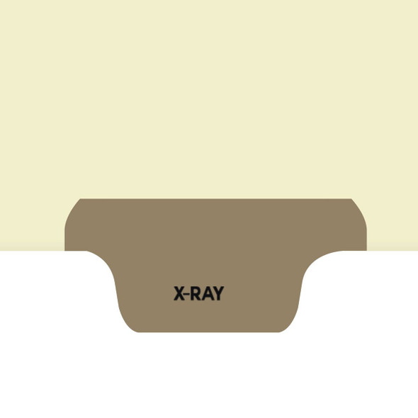 Ivory letter size end tab index divider with position 4 tab printed X-RAY and mylared in gray. 125# manila stock, 100/Box