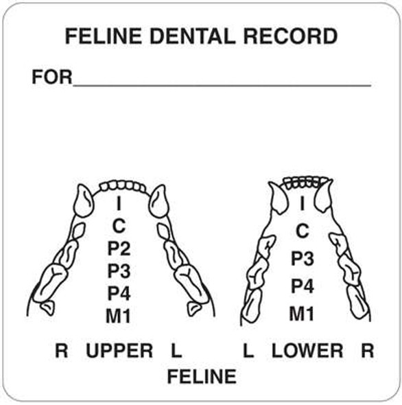 Feline Dental Record 2-1/2"x 2-1/2" White