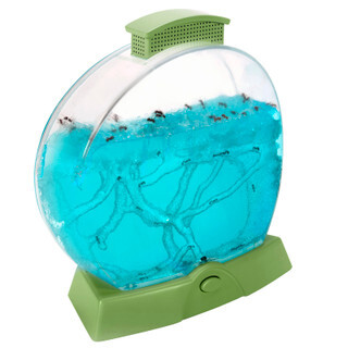 Image of product Environmental Studies