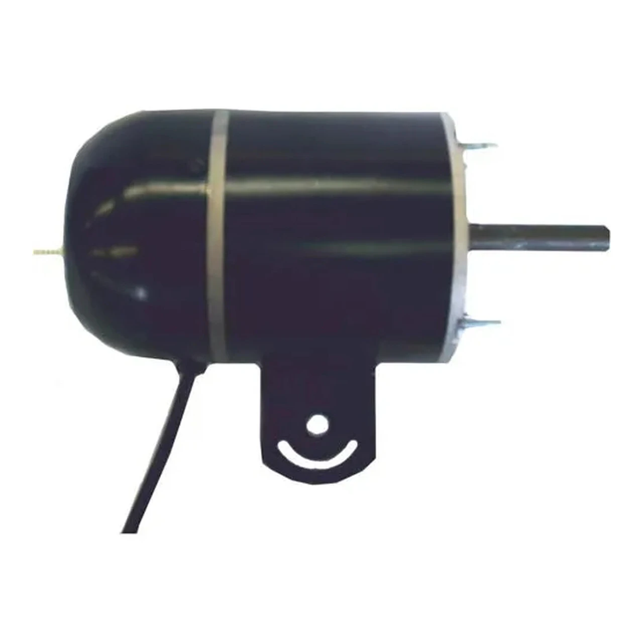 Fan & Blower Motors