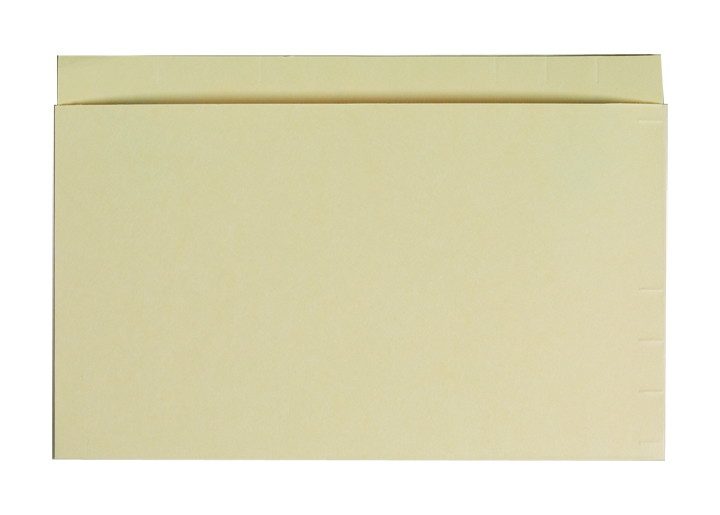 Jeter Mini Pocket - Top Loading - 11 pt. Manila - Single Ply Tab - 9" W x 6" H (50 Pockets/Box)