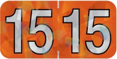 Holographic Yearband Label (Rolls) 500 - 2015 - Orange - HOYM Series - Polylaminated